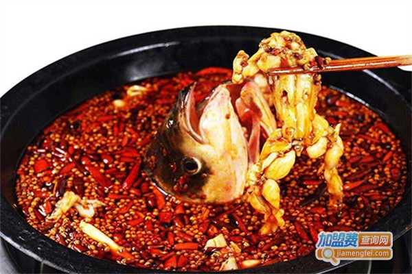 蛙屋鱼头加盟费