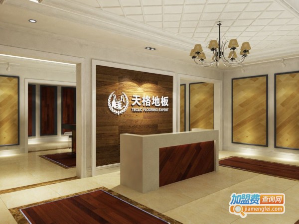 天格地板加盟费