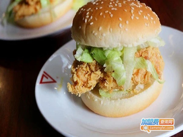 艾伦汉堡加盟费