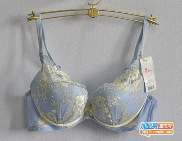 桑扶兰内衣加盟费