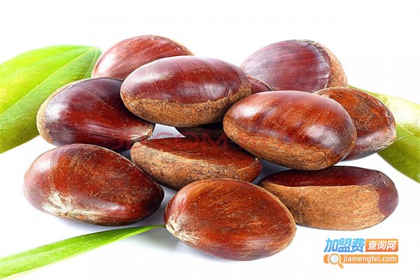 板栗铺子加盟费