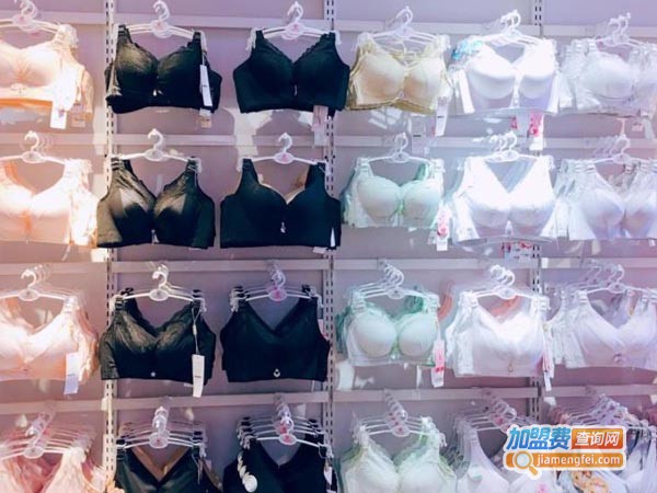 玫瑰春天内衣加盟费