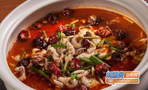 官渝府美蛙鱼头加盟费