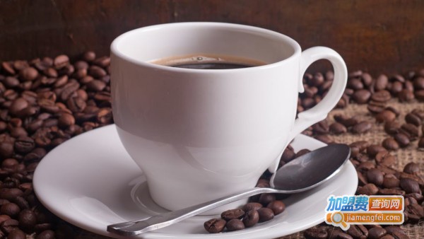 安琦丽诺咖啡加盟费