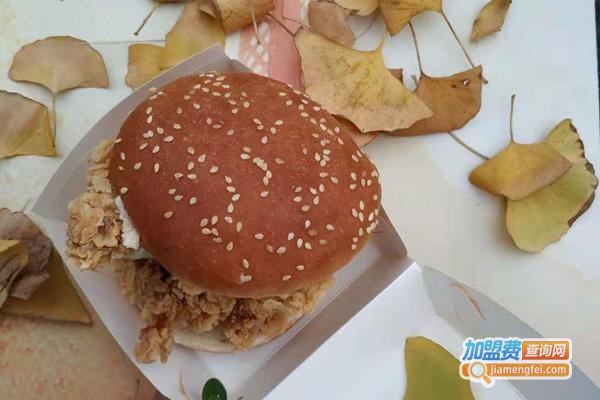 华德士汉堡加盟费