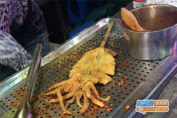 鱿鱼乐轰炸大鱿鱼加盟费