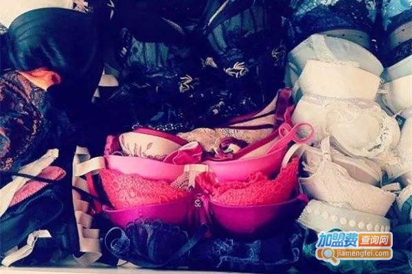 安丽丝内衣加盟费