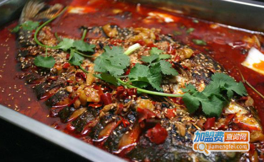 千度烤鱼加盟费