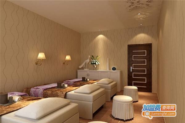 植丽素美容院加盟费