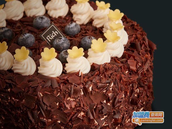 丽驰烘培加盟费