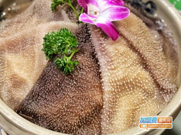 渝城老妈火锅加盟费