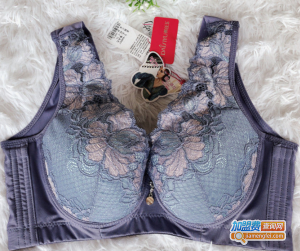 戴丝玉内衣加盟费