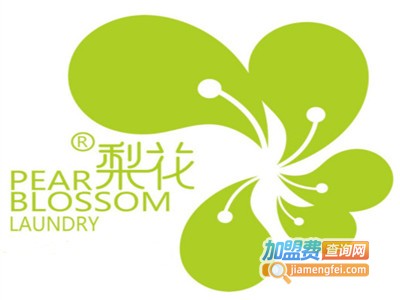 梨花干洗店