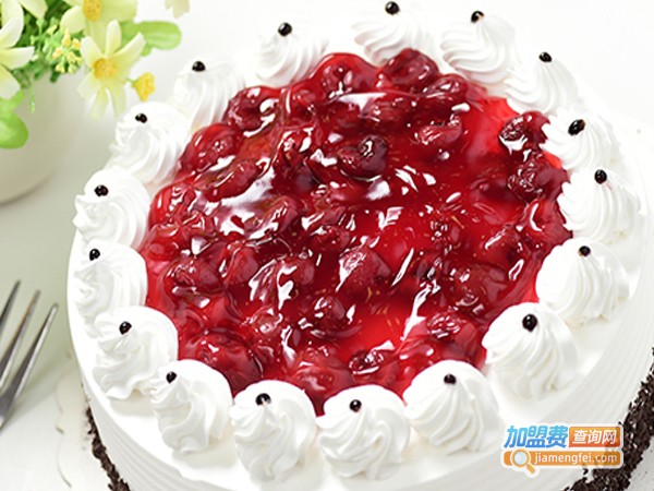 麦卡优娜加盟费