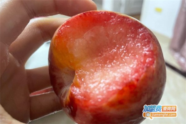 草摩家水果连锁店加盟费