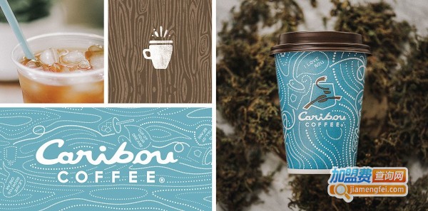 驯鹿咖啡加盟费