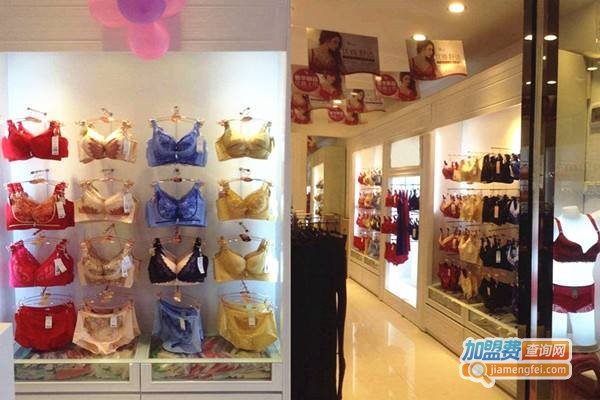 红妮内衣加盟费