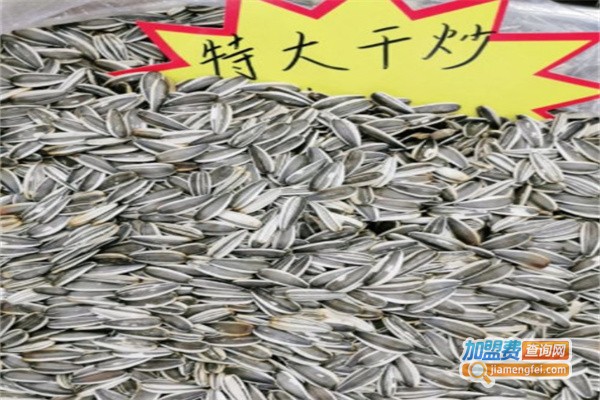 赵海瓜子加盟费