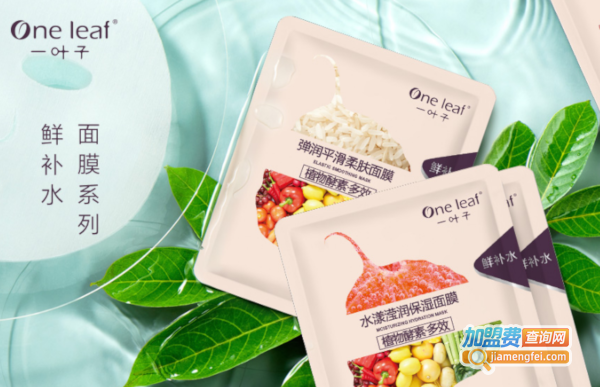 一叶子面膜加盟费