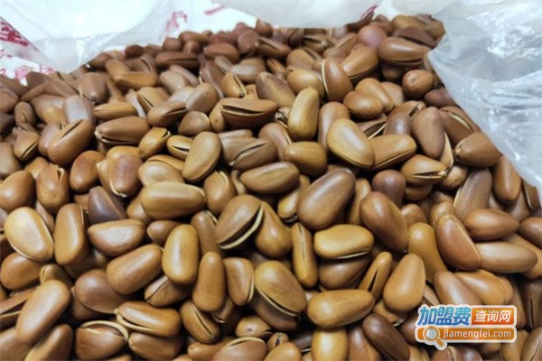 赵海瓜子加盟费