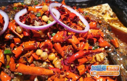 鱼见你碟炉烤鱼加盟费