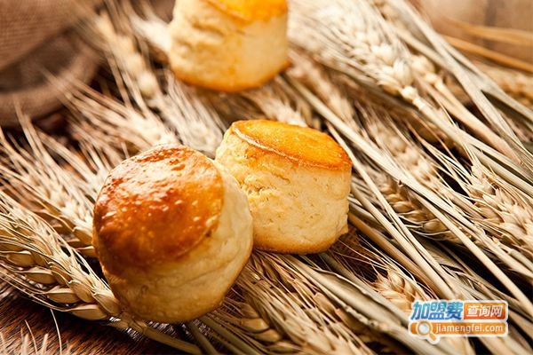 九禾西点加盟费