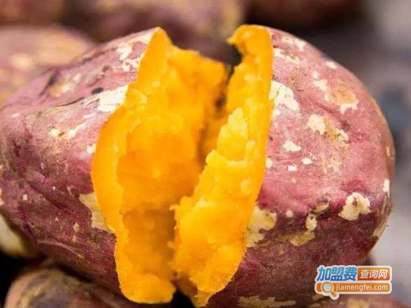 博士地瓜坊加盟费