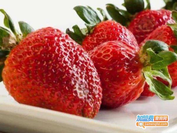 百鲜果园加盟费