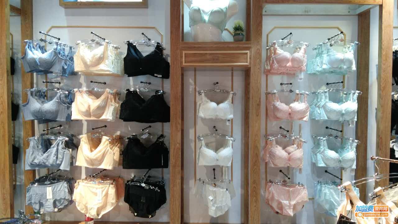 贵族公主内衣加盟费