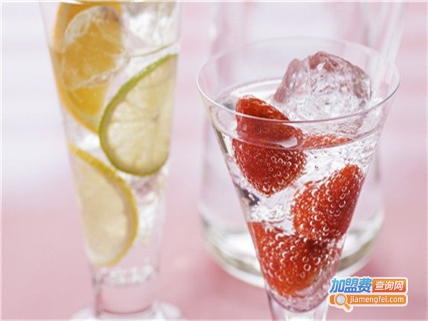 百分百果汁奶茶加盟费