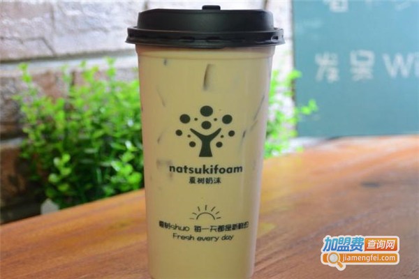 夏树奶沫加盟费