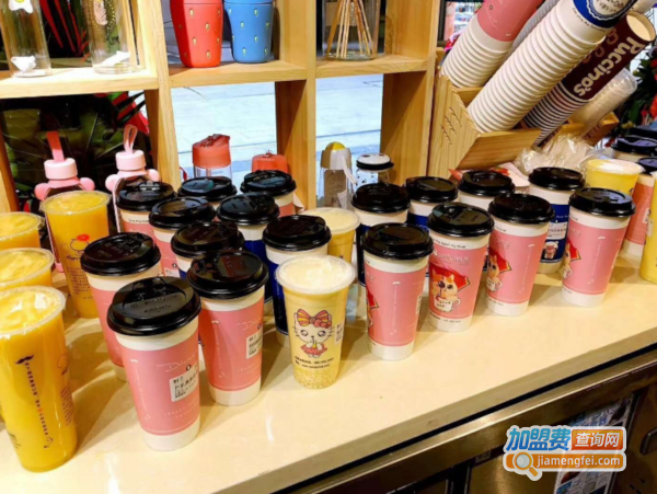 猫猫的梦幻城堡加盟费