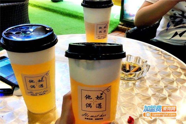 他她偶遇加盟费