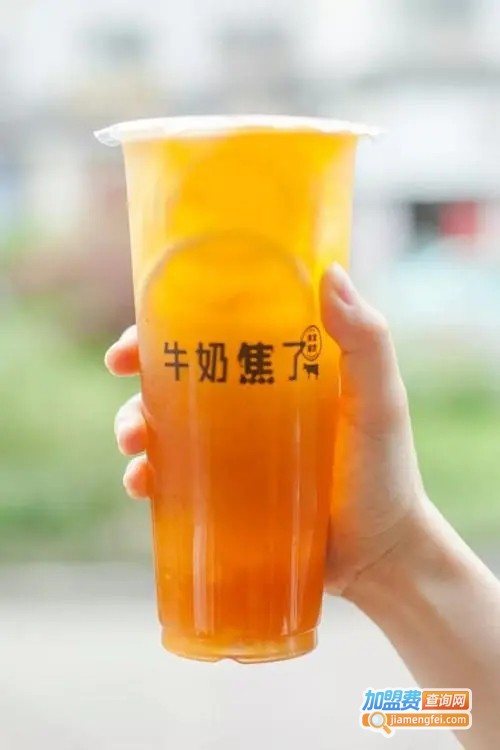 牛奶焦了加盟费