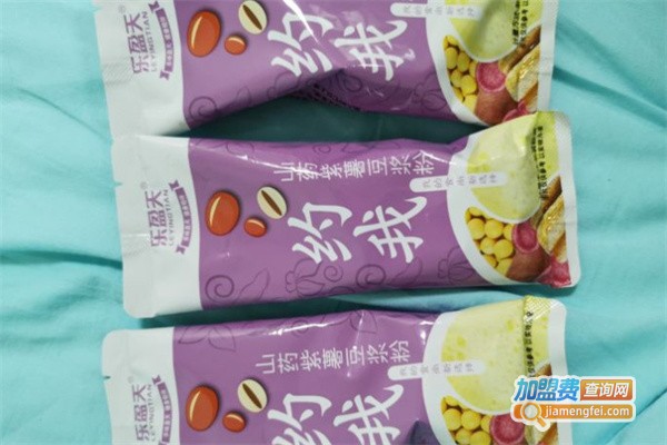 汪太太零食汇萃加盟费