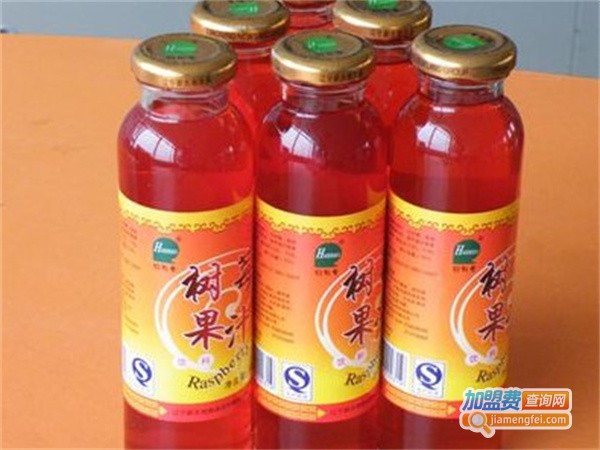 新大地休闲食品加盟费