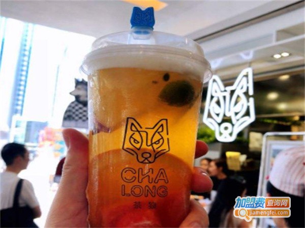 茶狼时尚茶饮加盟费