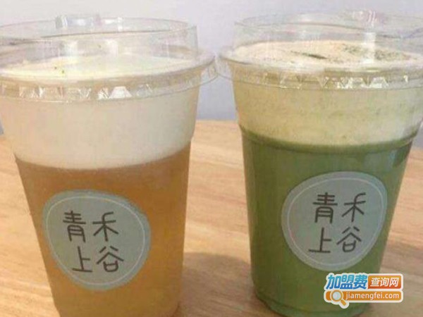 青禾上谷加盟费