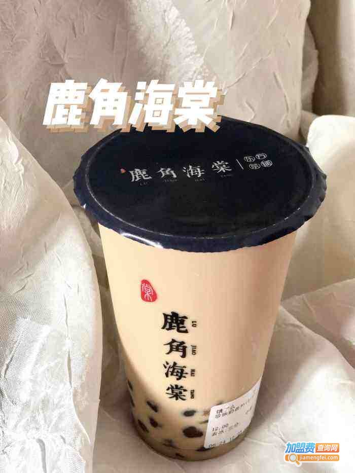 鹿角海棠LUJIAO HAITANG加盟费