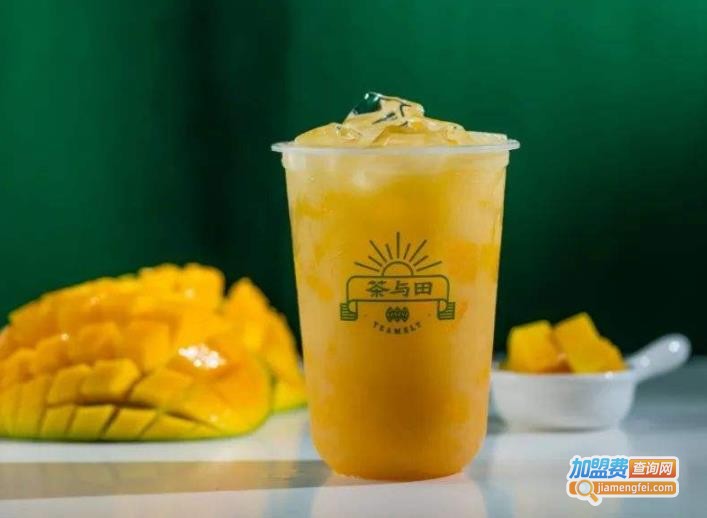 茶与田加盟费