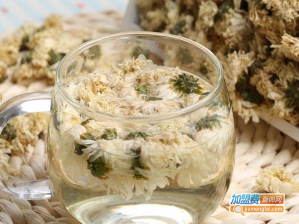 虫草菊花茶加盟费