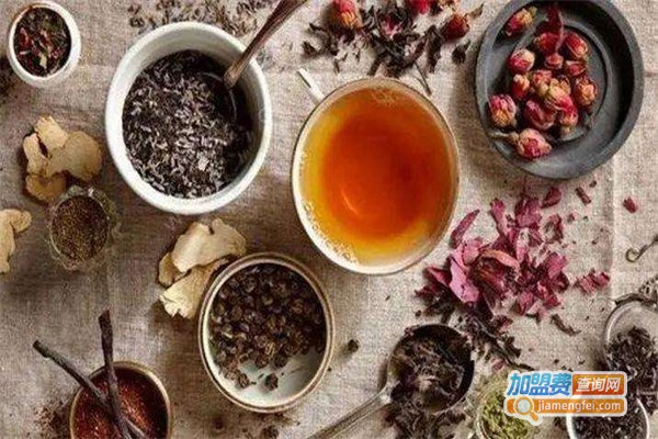 芝哇哇知你心的茶加盟费