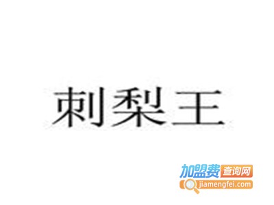 刺梨王饮料加盟费