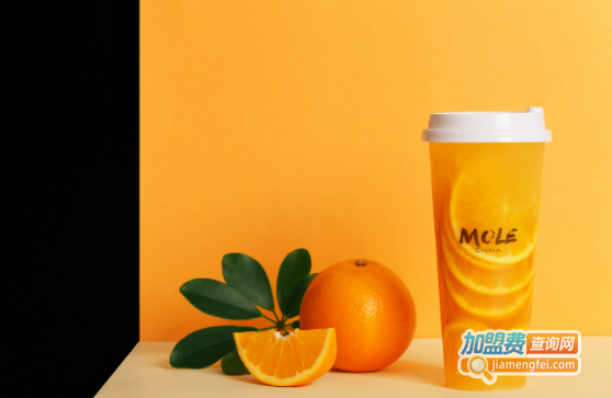 摩乐MOLE茶饮