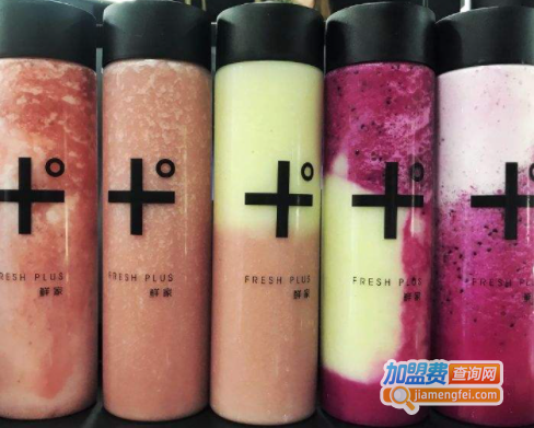 FRESH PLUS鲜家加盟费