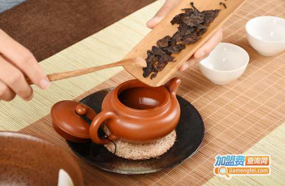 狮口银芽加盟费