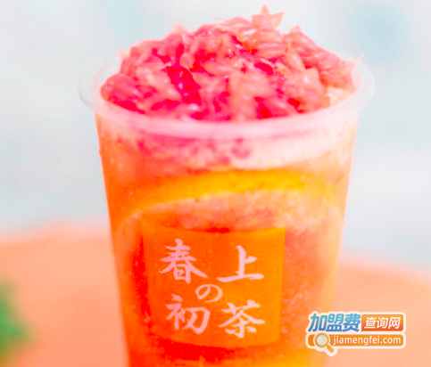 春上初茶加盟费