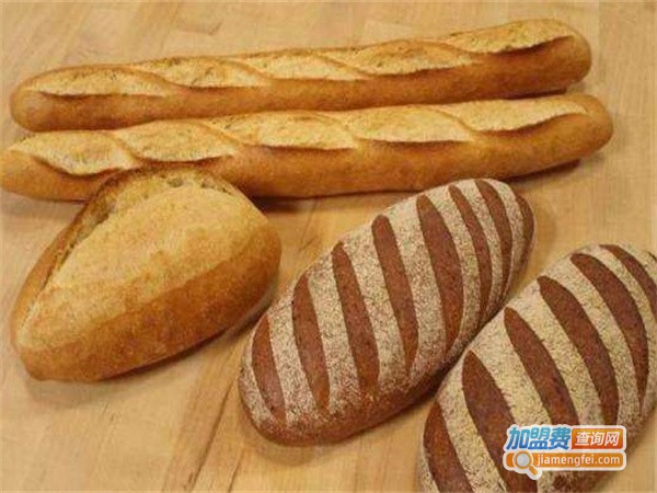 金美泰面包加盟费