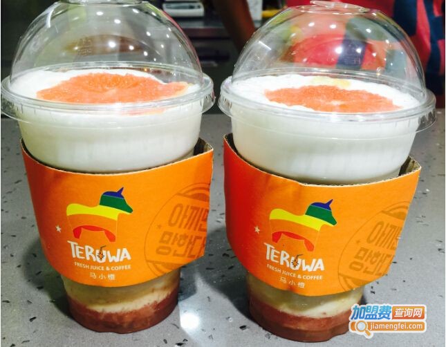 马小橙茶饮加盟费