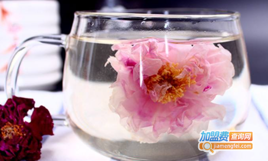 花养花玫瑰茶饮加盟费